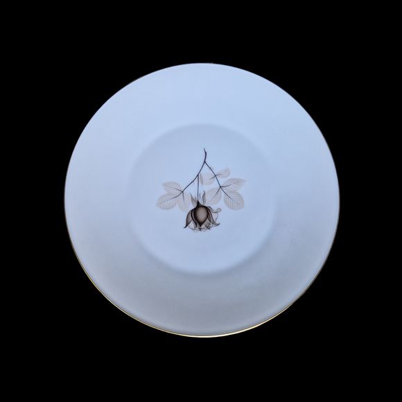 Rosenthal Schattenrose Teller 19,5 cm
